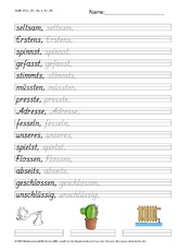 DSS_2S_Bu_s_Nr_09.pdf